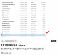《洛克王国》手游要上Steam！游戏文件现端倪