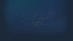 星火燎原（ SPARK IGNITES）